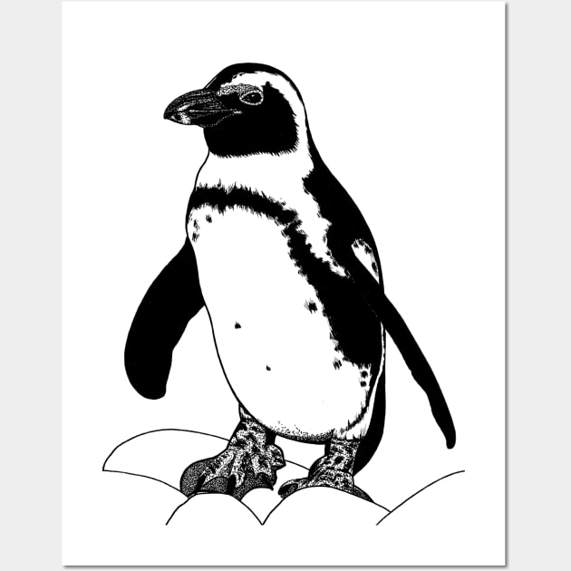 African penguin illustration Wall Art by lorendowding